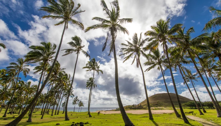 Wielkanoc 2026 pod palmami, egzotyczne święta wielkanocne