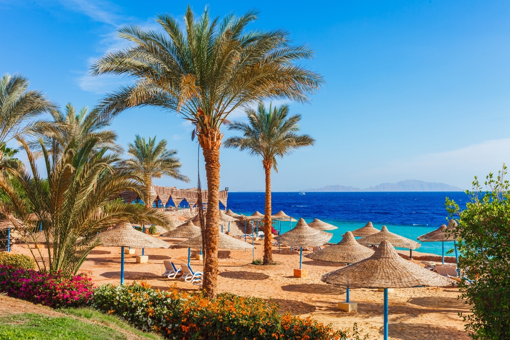Wakacje - lipiec 2024. Gdzie polecieć? Sprawdź! 6 Palmy i piękna plaża w kurorcie Sharm el Sheikh.