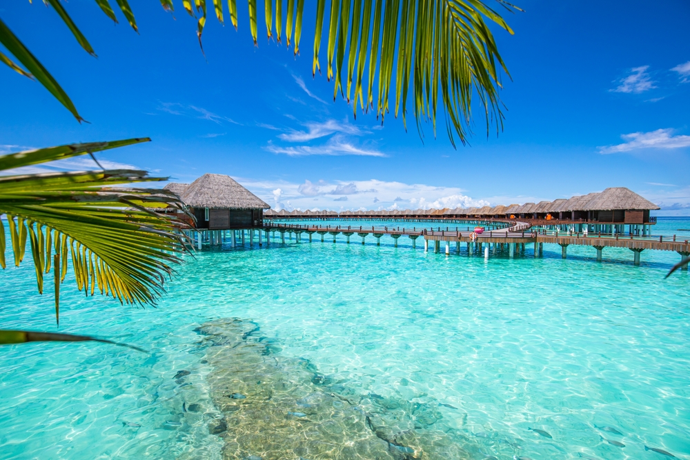 Malediwy domki na wodzie: Relaks w rajskich warunkach 4 Malediwy domki na wodzie - woda