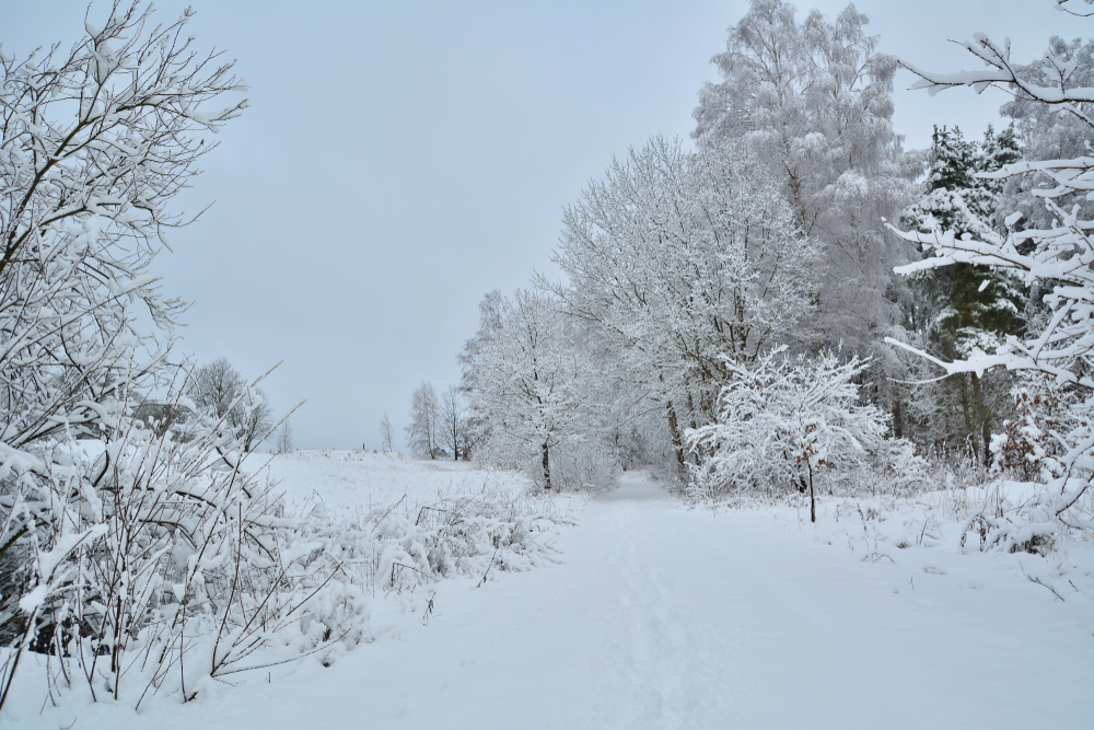 Ferie zimowe 2025 Warmińsko-Mazurskie - zima