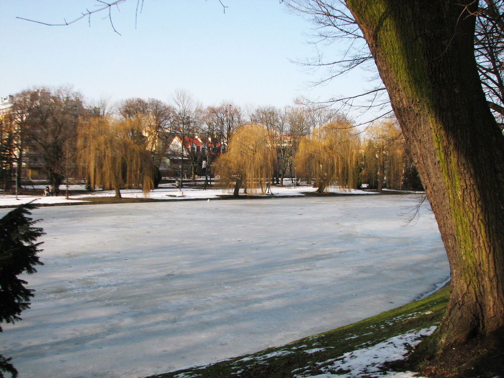 Ferie zimowe 2025 Świętokrzyskie - jezioro