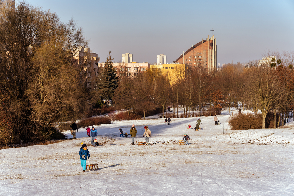Ferie zimowe 2026 Wielkopolskie. Termin, atrakcje i co robić zimą? 4 Ferie zimowe 2025 Wielkopolskie - sanki