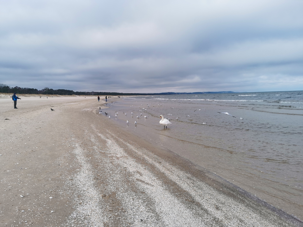 Ferie zimowe 2025 Zachodniopomorskie - Świnoujście