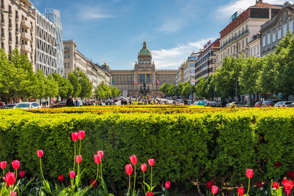 Czy do Czech potrzebny jest paszport? Aktualne przepisy i wymagania wjazdowe 3 Czy do Czech potrzebny jest paszport - park