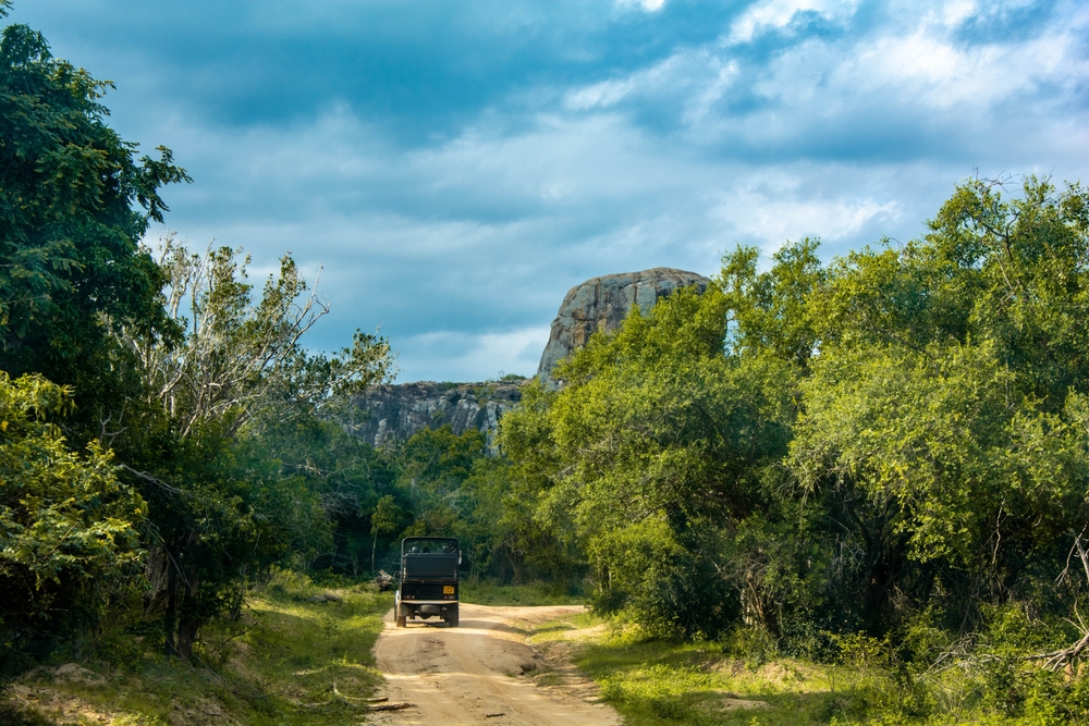 Yala National Park to miejsce dla miłośników dzikiej przyrody.