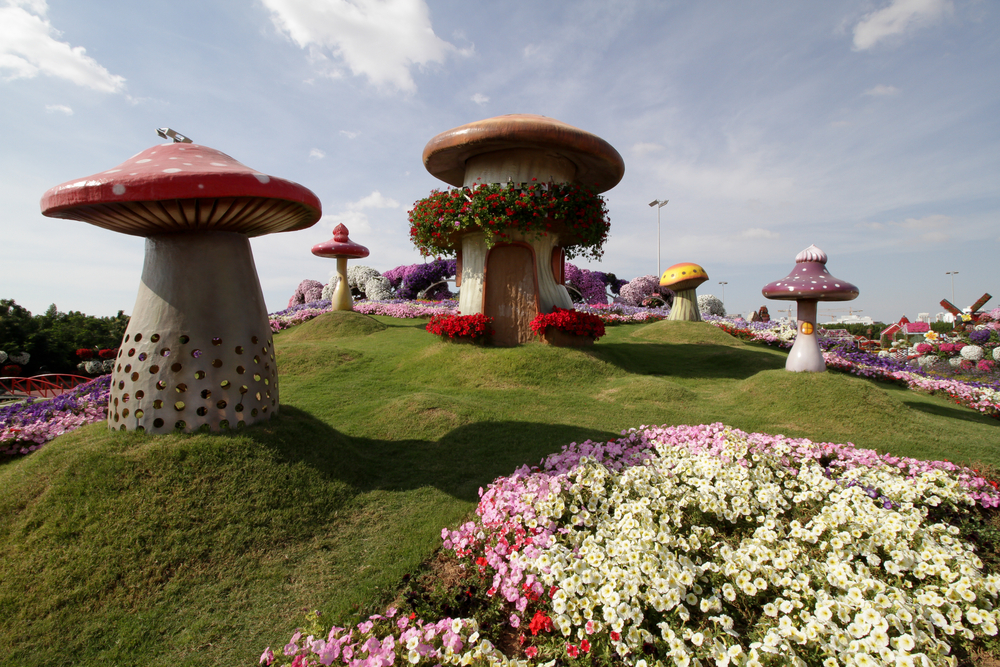 Dubaj z dziećmi - wizyta w Miracle Garden to prawdziwe must-see!