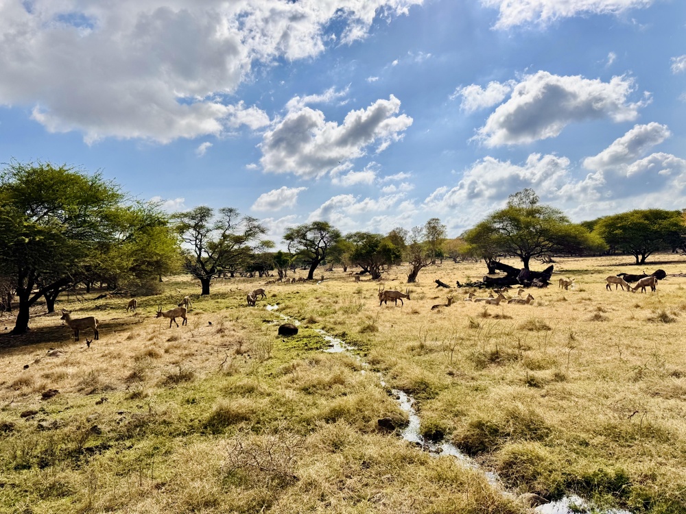 Mauritius Safari Casela