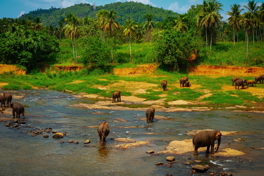 Sri Lanka rajska wyspa kontrastow Blog | Biuro turystyczne TUI