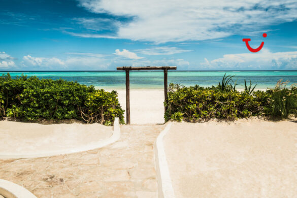 Najpiękniejsze plaże Zanzibaru kuszą białym piaskiem i lazurową wodą.