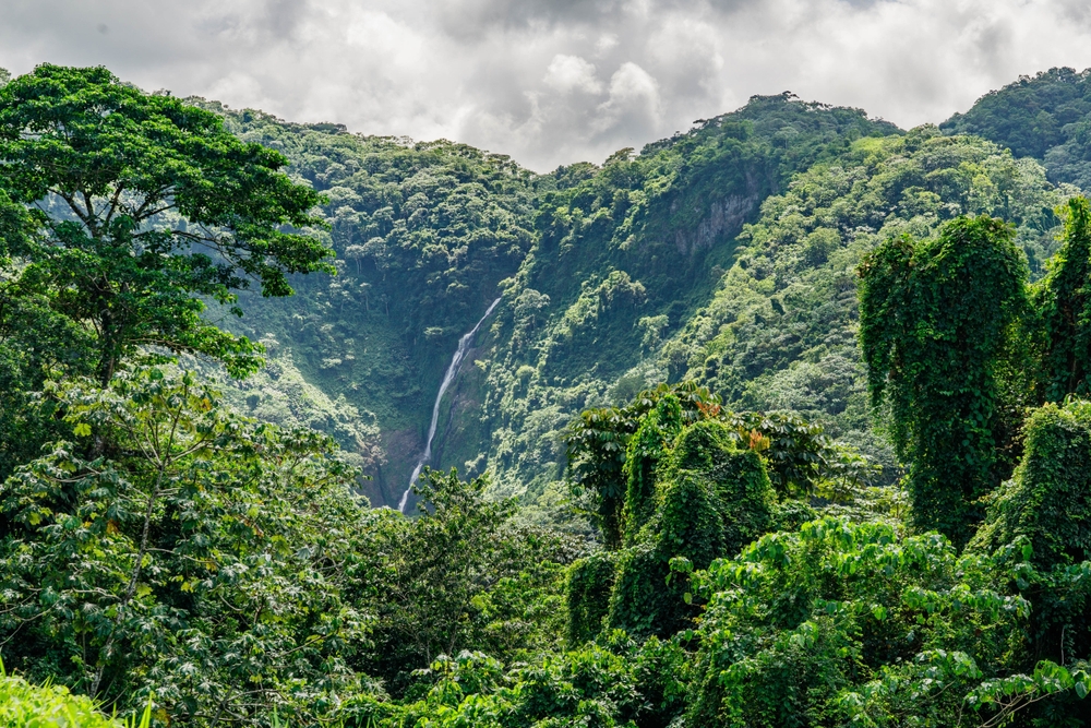 dominikana sezon huraganowy co warto wiedziec Blog | Biuro turystyczne TUI