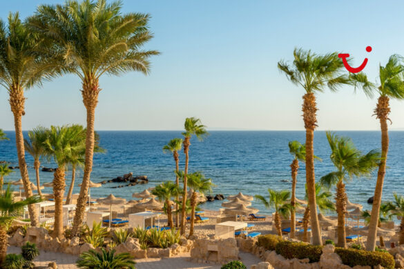 Hotele w Hurghadzie - plaża, palmy, słońce i lazurowa woda