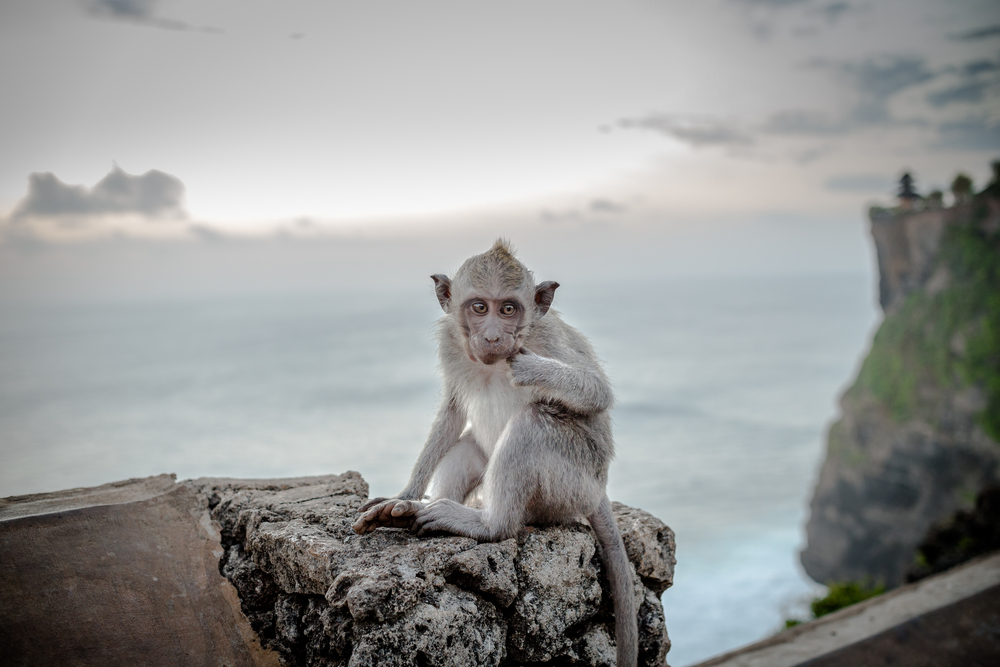 atrakcje Bali - Uluwatu