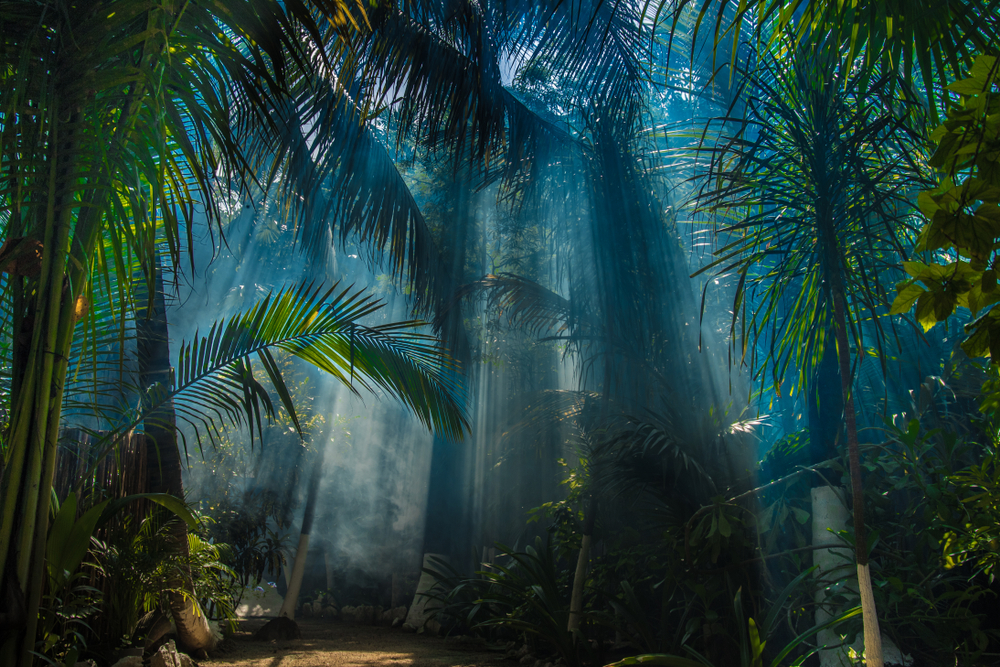 Tulum Spirytualny klimat ceremonia Temazcal Blog | Biuro turystyczne TUI