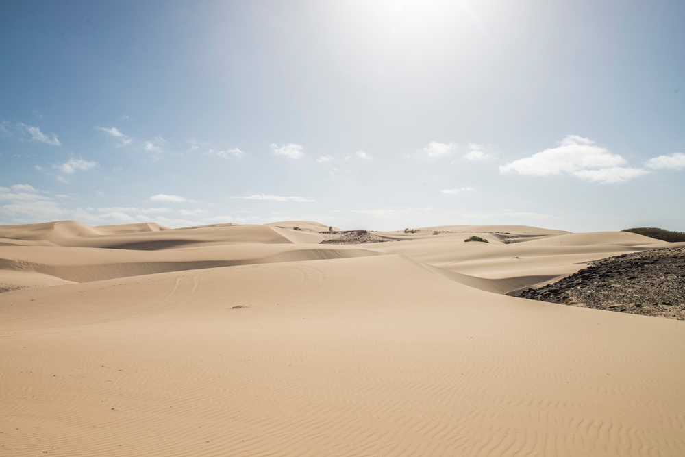Boa Vista - pustynia Viana