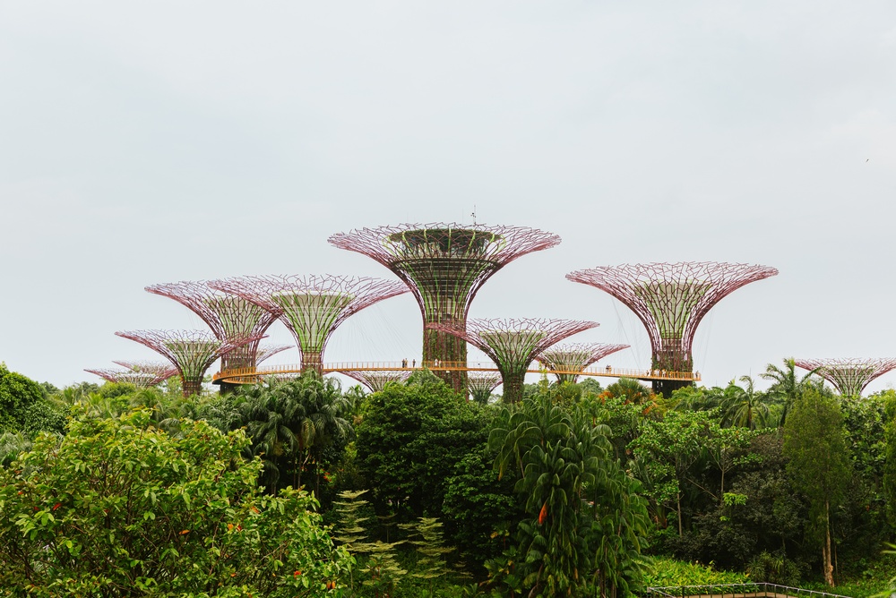 Singapur – co warto zobaczyć? Największe atrakcje, plan zwiedzania i praktyczne wskazówki 5 Singapur - Gardens by the Bay