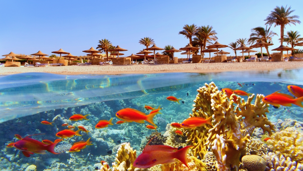 Sharm el Sheikh 2026 – plaże, nurkowanie i najlepsze atrakcje 7 Wakacje w Egipcie dlaczego warto wybrac Sharm el Sheikh 1 Blog | Biuro turystyczne TUI