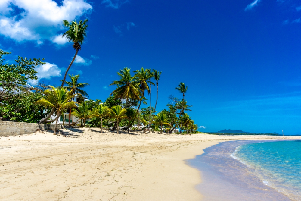 Piękna egzotyczna plaża w Puerto Plata.